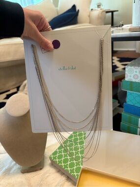 Stella & Dot Silver Multi-Layer Chain Necklace